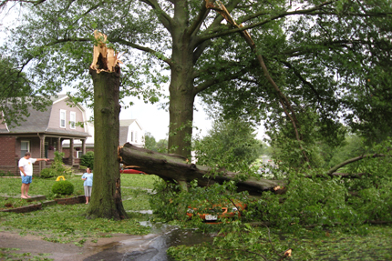 Summer Storm Damage