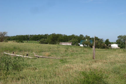 Summer Storm Damage