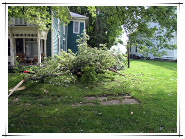 Storm Damage in Town