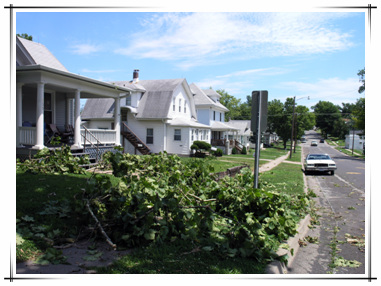 Storm Damage in Town