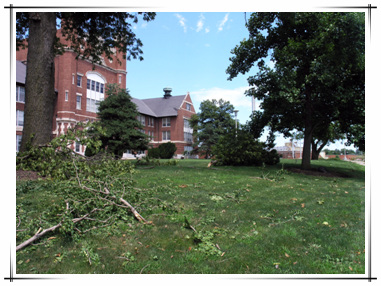 Storm Damage in Town