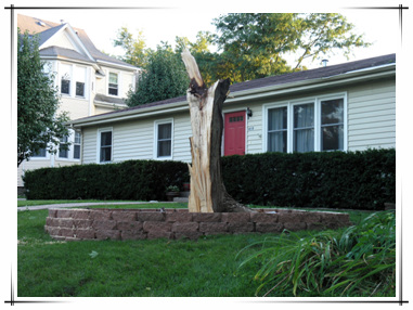 Storm Damage in Town