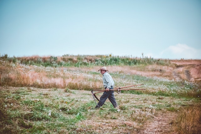 farming