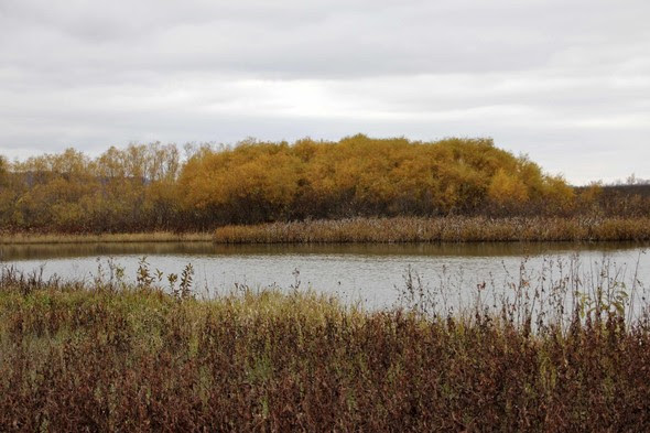 bob brown conservation area