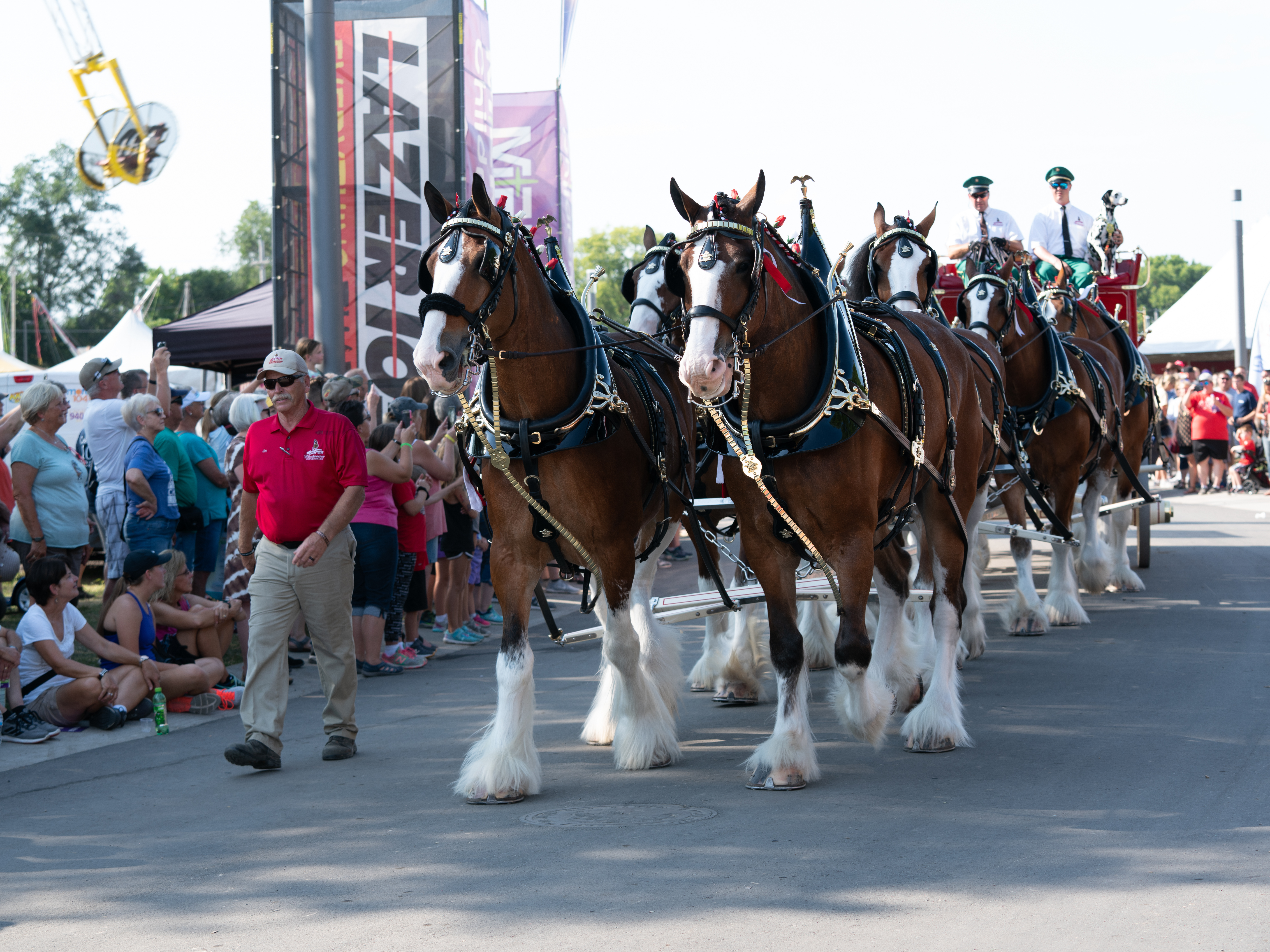 iowa state fair