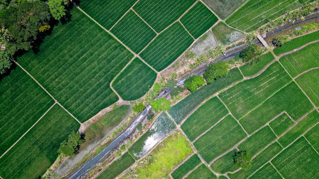 farmland