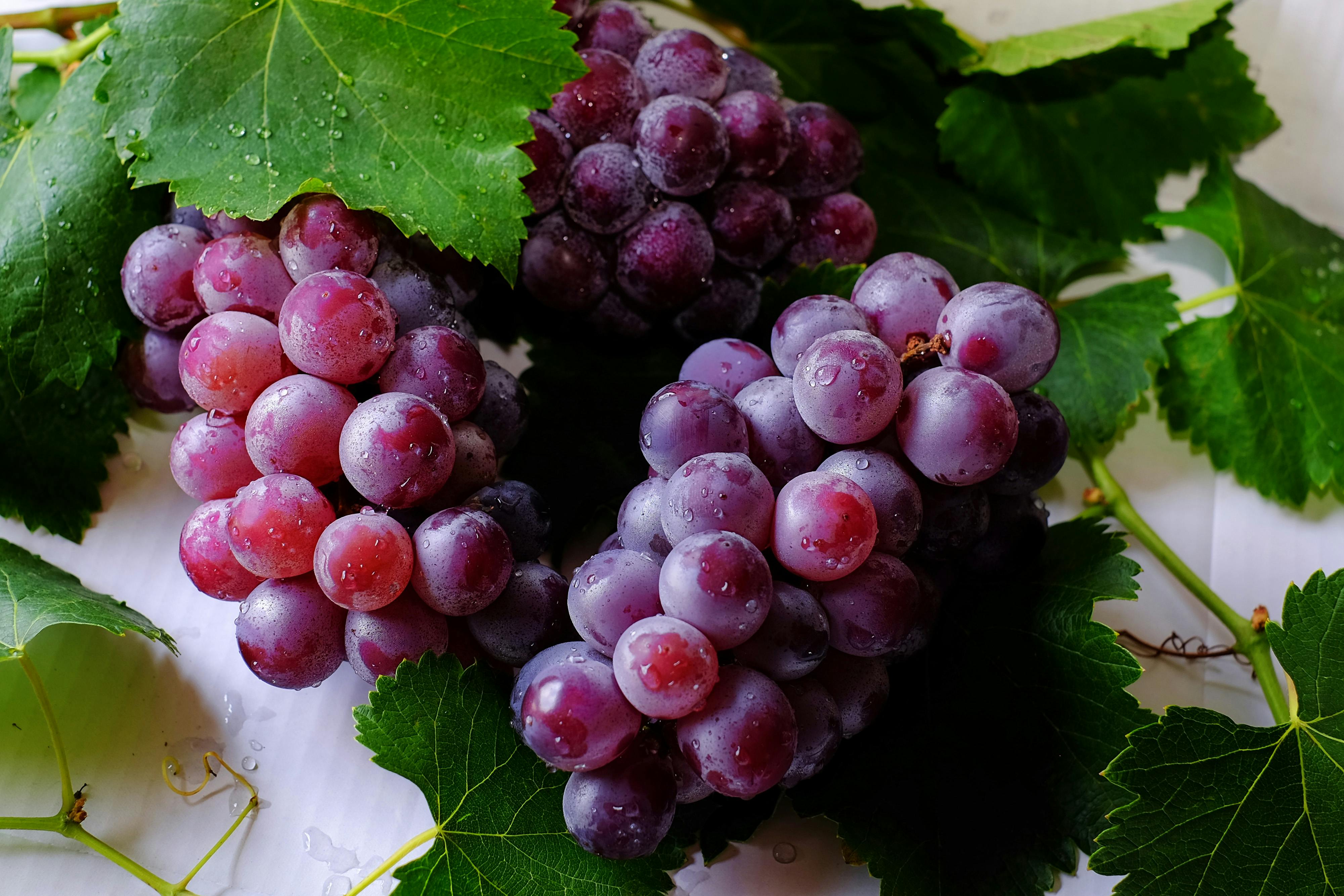 grapes