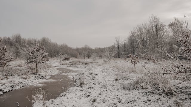 icy river